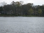 picture 039